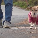 봉희농장 이미지