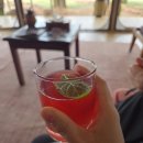 돈필농장 | [케냐] 마사이마라, 비와 초원과 사자 1 - 마사이마라 베이스캠프 어드벤처