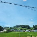 남일대식육식당 이미지