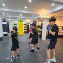 전곡-10 | 연천전곡복싱에 다녀온 생생후기