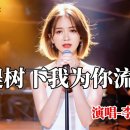 菩提树下我为你流泪-柳元英-李彤儿, Li Tong Er 이미지