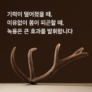 이천바른몸한의원 이미지