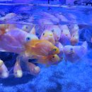 수산과학관 이미지