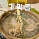 주식회사 가막골흑염소 | 동학사맛집 가막골 산삼 통째로 넣는 오리백숙에 반했음