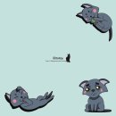 캐릭터그루밍