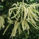 동활리마을회관 이미지