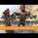 조운흘의 신선 장난과 홍장의 애절한 사랑이야기 이미지