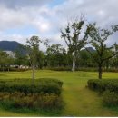 부산시민공원 이미지