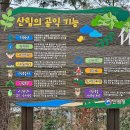 국립남해편백자연휴양림 이미지