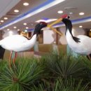 합천황토한우프라자 이미지