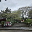 일출랜드식물원 | 제주 동쪽 애견동반가능한 여행지 '일출랜드' 방문 후기(성산일출봉 인근 가볼만한 곳, 일출랜드 족욕...