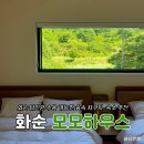 전남의모든것 | 전남 풀빌라 독채 펜션 추천 광주 근교 신상 가족 수영장 숙소 화순 모모하우스 내돈내산 후기
