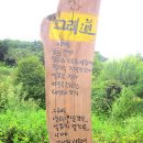 용월리지석묘군 | 함평천지 들꽃세상