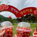 현북면 계곡이 있는 풍경 MBC강원영동