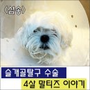 삼송사랑 동물의료센터 이미지