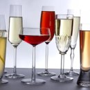 출입국전문 행정사 이미지