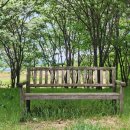 대구옥포초등학교 이미지