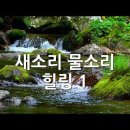 새소리물소리 이미지