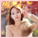 은지예 카카오 검색결과