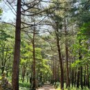 모정회관 이미지