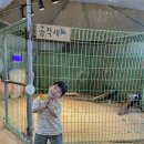 준서농장 이미지