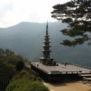 오오상회 Daum카페