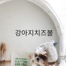 프레싯 (FRESHET) 이미지