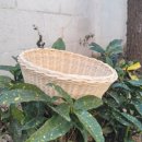 라탄 공예(야간) 이미지