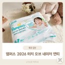 31140-7-55-30 | 팸퍼스 2026 터치 오브 네이처 팬티 6-7단계 실제 사용 후기 하체 통통 27개월 아기