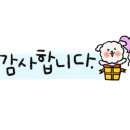 엘로이즈캔들 이미지