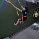 왕성태권도장 이미지