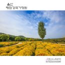 태화강국가정원 이미지