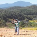 용촌마을 이미지