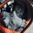 소묘교실 이미지