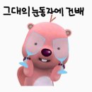 [경주] 키녹호텔&경주교원드림센터 숙박 1박 2일 꿀팁, 워크샵 후기