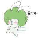 별자리심리 이미지