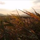 호수초등학교 이미지