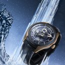 셀리시움 이미지