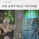 백마수조 | 대전 엑스포 아쿠아리움 실내 아기랑갈만한곳