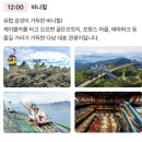 아마레관광호텔 | 다낭 자유여행 일일투어 총정리 : 바나힐 vs 빈원더스 남호이안 vs 바구니배 vs 시내 비교