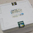 더정성스토어 | 어린이반찬 수제반찬 엄마반찬스 집밥보다 더 맛있는 정성 가득 반찬 7종 시식 후기