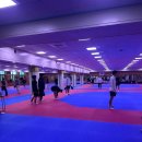 한국 드림 태권도 이미지