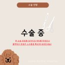 얼바인동물병원 이미지