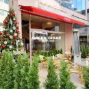 나만의 그린 인테리어 이미지