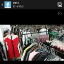 숙녀복 Daum카페