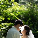 진안마이돈 | W5. 전주 깊은숲필름 전북 진안 야외웨딩촬영 후기 (장소: 진안 마이정원, 진안 부귀 메타세쿼이아길)
