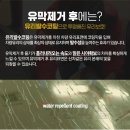 행복광택 스팀세차 이미지