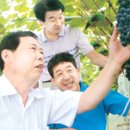 송산포도로 티스토리