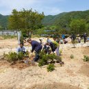 군산산림조합 이미지