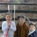 이스턴파크 펜션 이미지